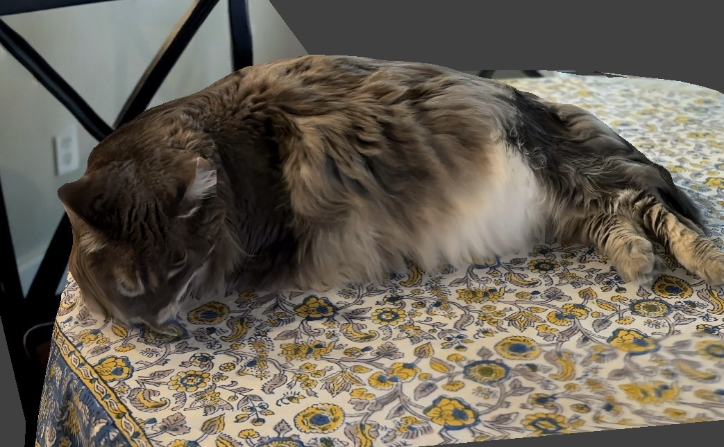 3d Scan of my cat